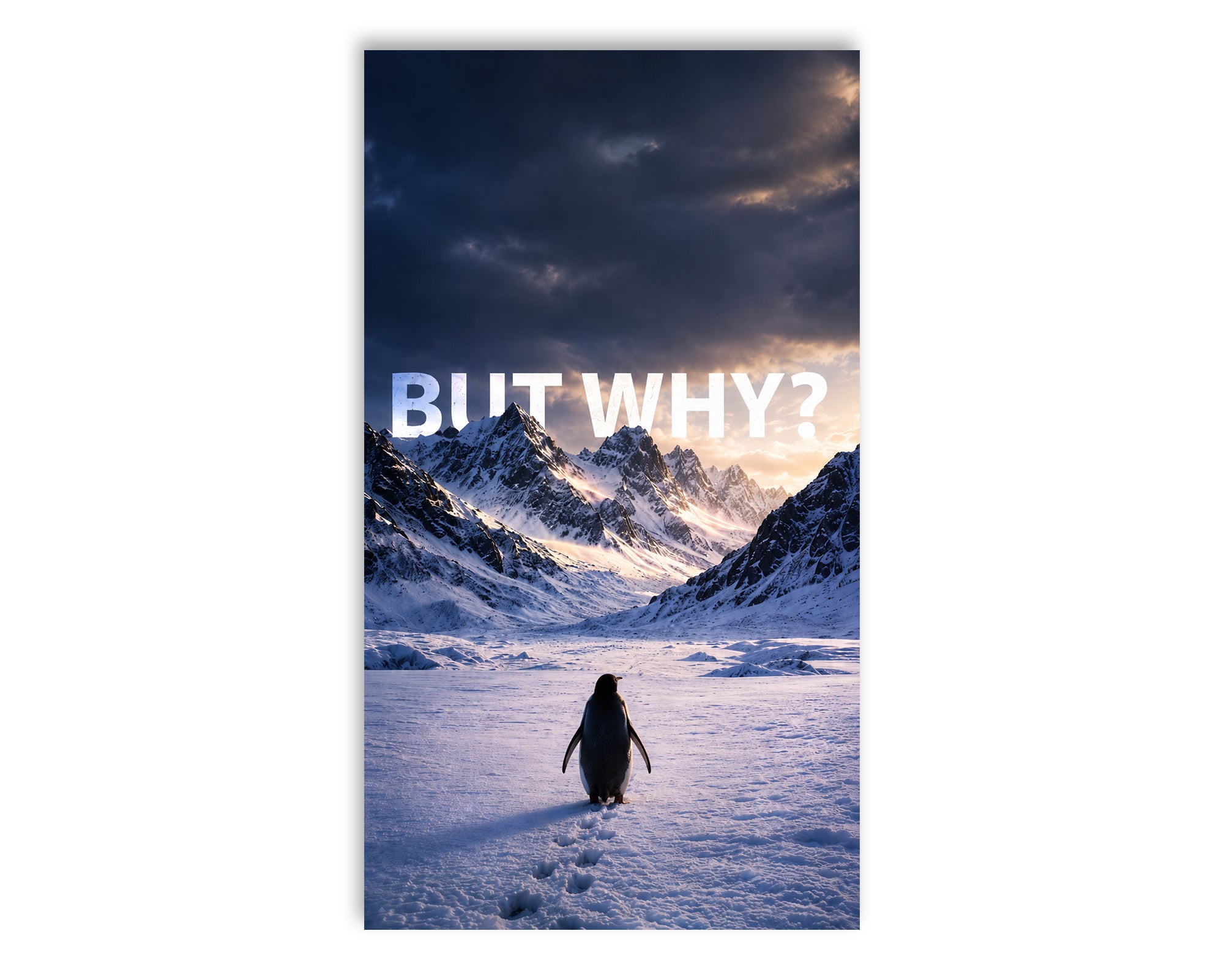 But Why? Vinyl Sticker